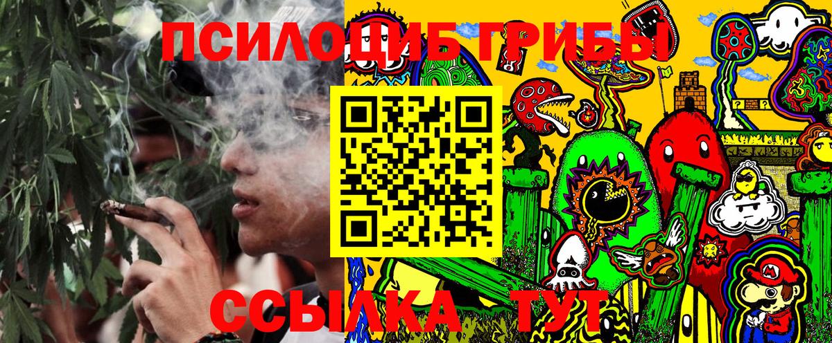Галлюциногенные грибы Psilocybine cubensis Ярославль