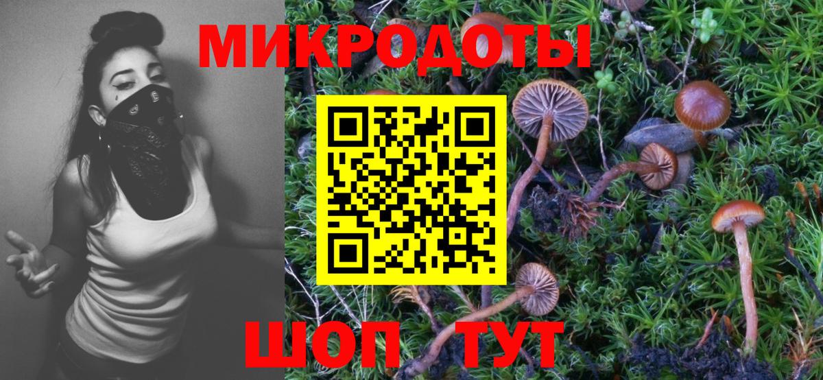 Псилоцибиновые грибы мицелий  Вход с VPN  Ярославль 